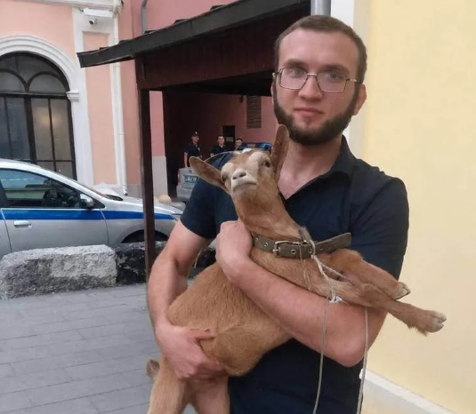 Юристы, комментирующие дело, отмечают, что пять суток ареста — довольно строгое наказание